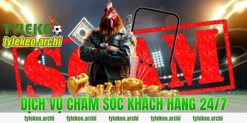 Dịch vụ chăm sóc khách hàng 24/7