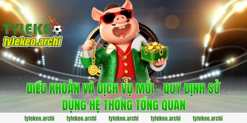 Điều Khoản Và Dịch Vụ Mới - Quy Định Sử Dụng Hệ Thống tổng quan
