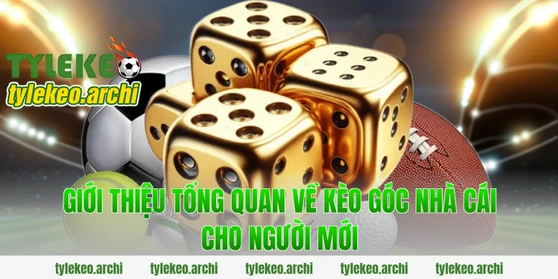 Giới thiệu tổng quan về kèo góc nhà cái cho người mới