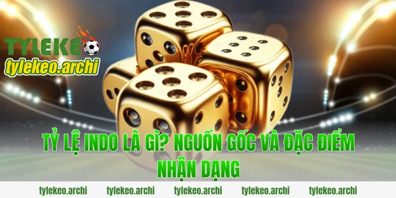 Tỷ Lệ Indo Là Gì? Nguồn Gốc Và Đặc Điểm Nhận Dạng
